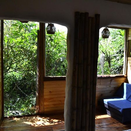 Habitacion Las Bromelias, Pijao, Finca Flora Del Rio Luaran gambar