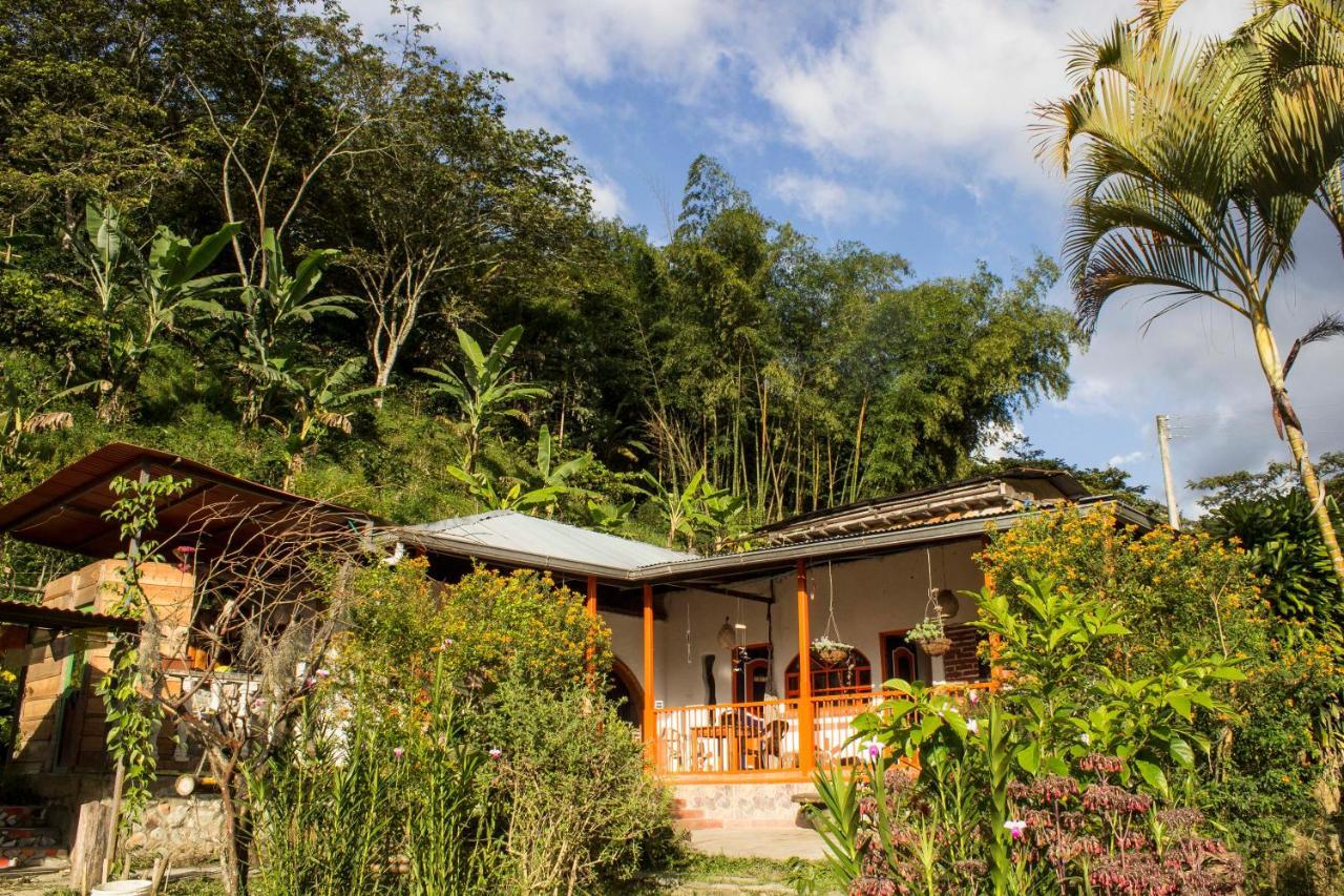 Habitacion Las Bromelias, Pijao, Finca Flora Del Rio Luaran gambar