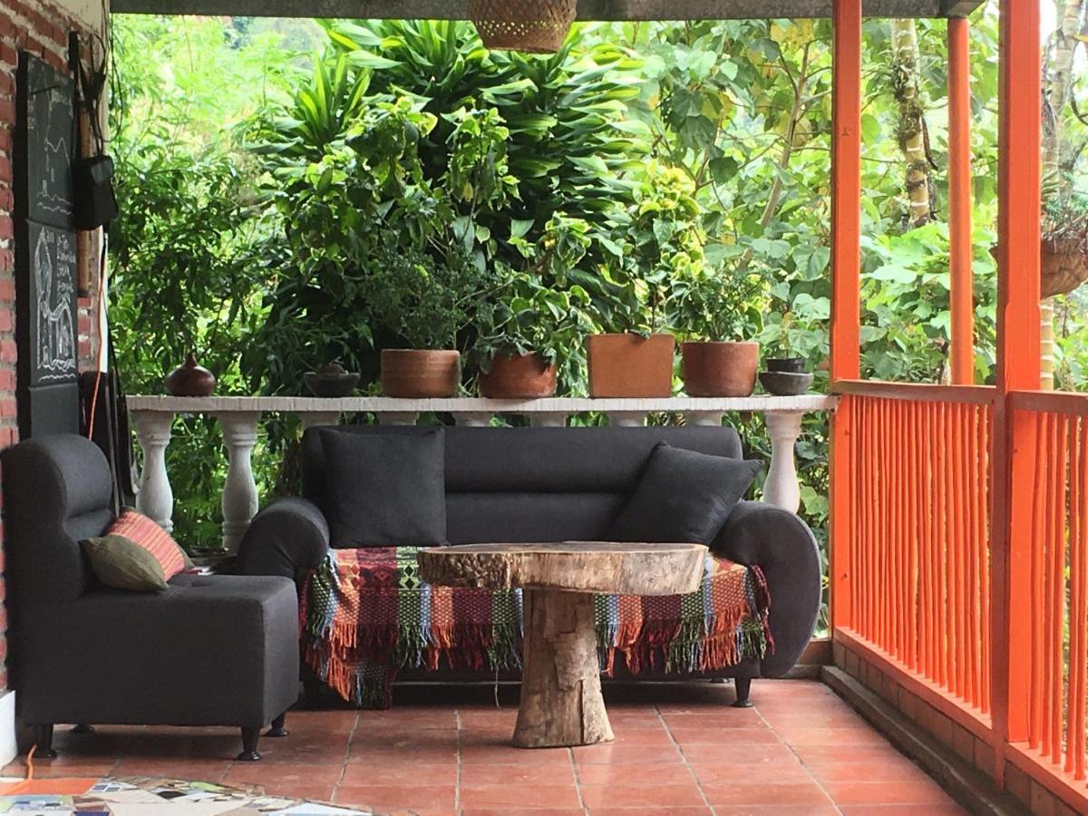 Habitacion Las Bromelias, Pijao, Finca Flora Del Rio Luaran gambar