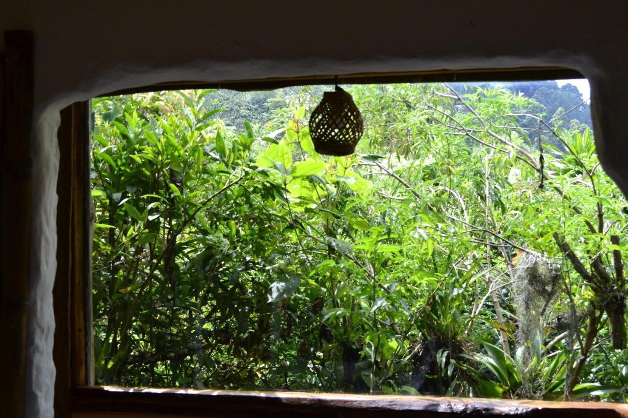 Habitacion Las Bromelias, Pijao, Finca Flora Del Rio Luaran gambar